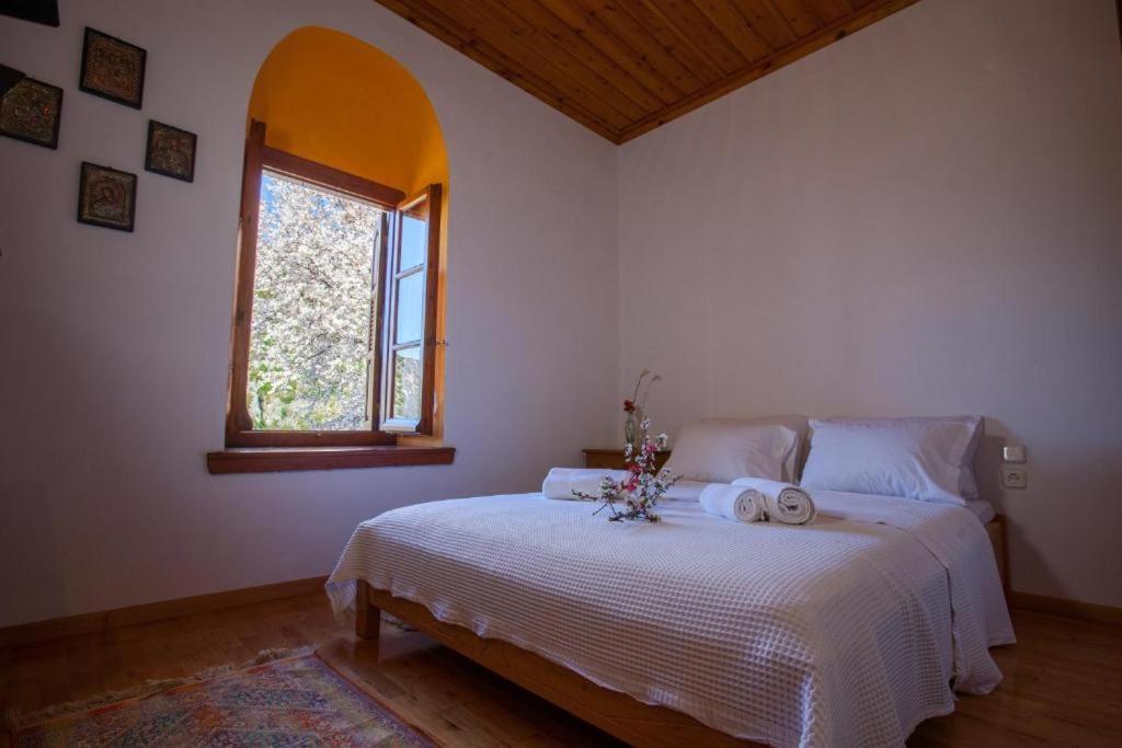 Eremia Rustic House - Entire Villa In Pelion Makrinitsa Exterior photo
